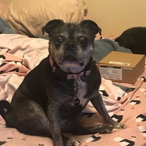 Meet your Posher, Leah